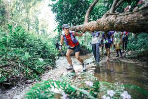 BIB: 
                            <button type="button" onclick="openModal(25459124)" class="btn btn-primary btn-sm float-right btn-popup" data-toggle="modal" data-target=".modal-high-quality">
                        <i class="fas fa-shopping-cart"></i> Add to Cart
                    </button>
                                            <button type="button" onclick="isThisMe(25459124, true)" class="btn btn-success btn-sm float-right btn-popup btn-isme hidden" data-toggle="tooltip" data-placement="bottom" title="นี่คือรูปของคุณใช่ไหม คลิกที่นี่เพื่อเอาเข้าอัลบั้ม">
                        <i class="fas fa-plus"></i> Add to album
                    </button>
                    <button type="button" onclick="isThisMe(25459124, false)" class="btn btn-warning btn-sm float-right btn-popup btn-isnotme hidden">
                        <i class="fas fa-ban"></i> Remove from album
                    </button>